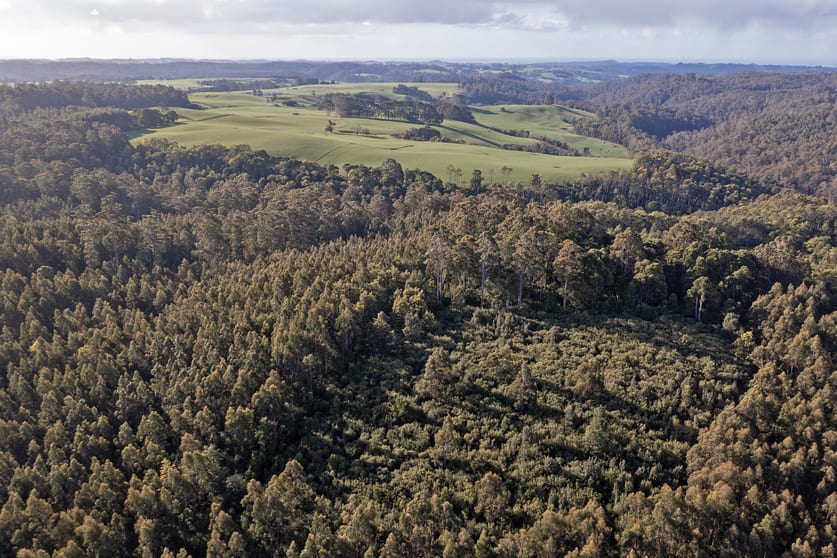 PID 6191426 South Riana Road Upper Natone TAS 7321 - Image 3