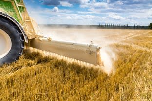 Rural & Farming  business for sale in Kerang & Gannawarra - Greater Area VIC - Image 2
