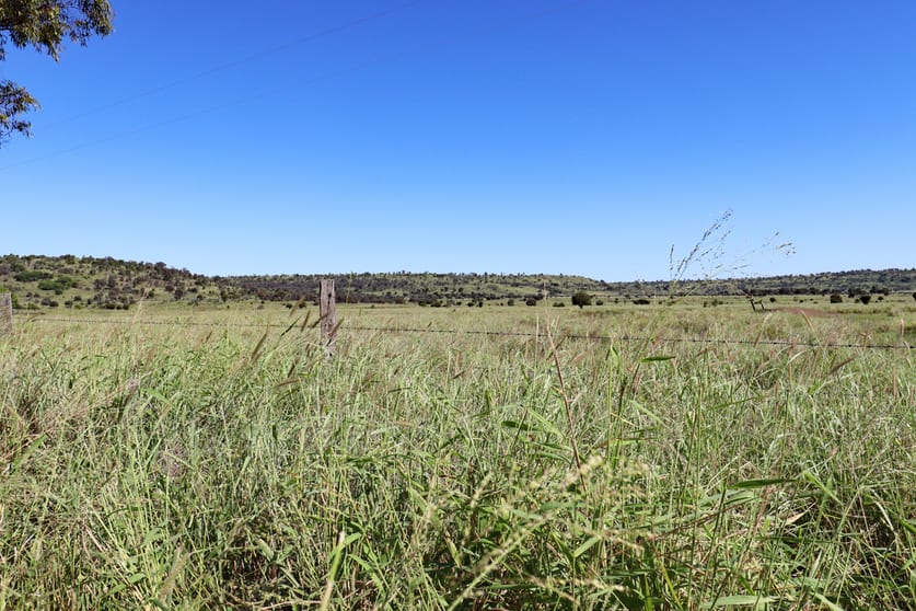 746 Semples Road Prospect QLD 4715 - Image 2