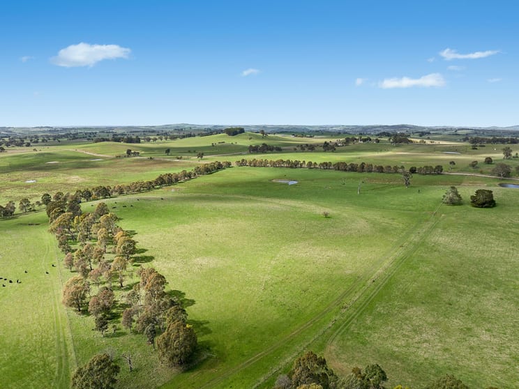 565 Nyes Gate Road Millthorpe NSW 2798 - Image 2