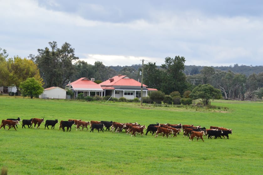 25 Wrigleys Road Big Springs NSW 2650 - Image 2