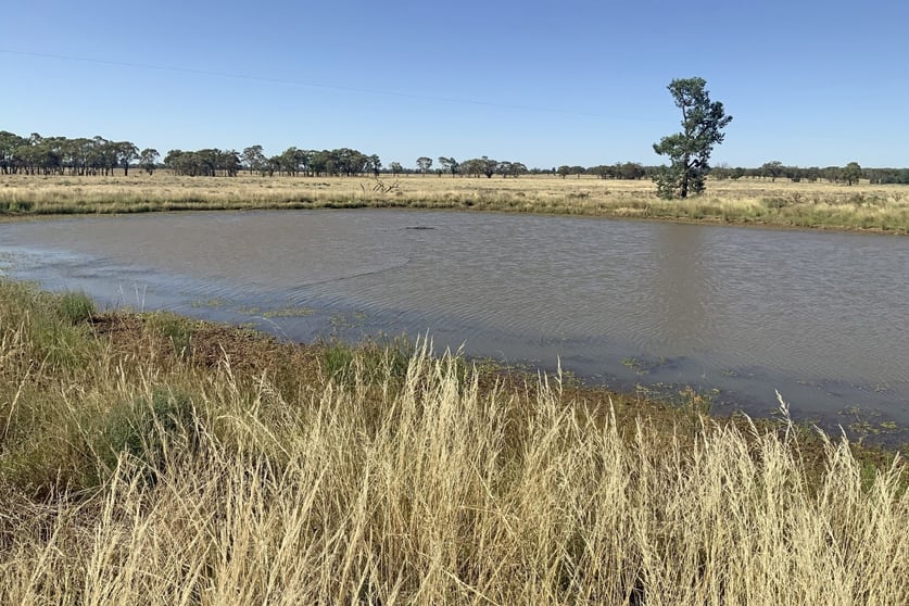Click to view all images 703 Yethera Road Tullamore NSW 2874 - Image 1
