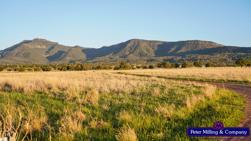 'Top Walga' 281 Top Walga Road, Warrumbungle NSW 2828 - Image 3