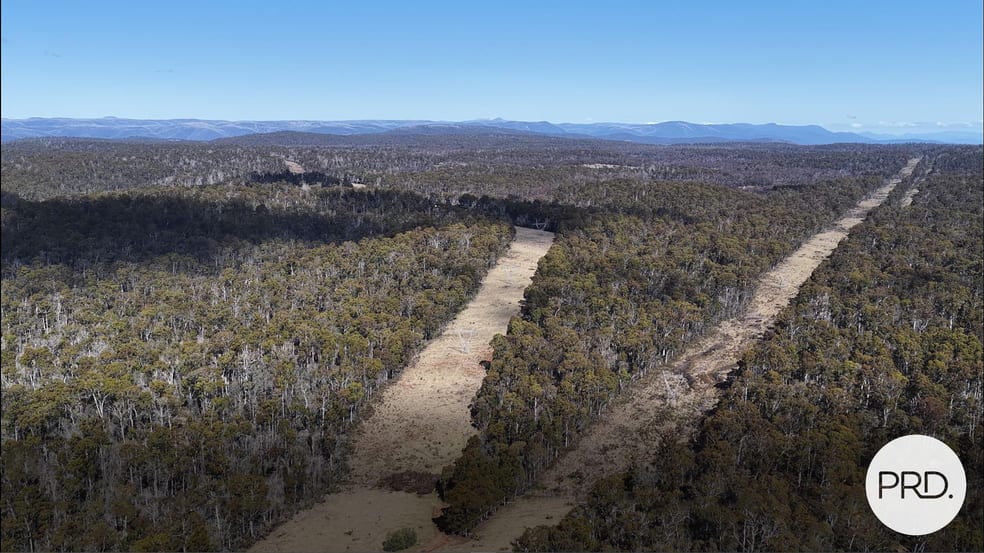 Lot 17 East Bago Powerline Road Tumbarumba NSW 2653 - Image 1