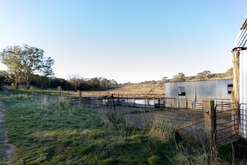 785 Thornford Road Goulburn NSW 2580 - Image 3