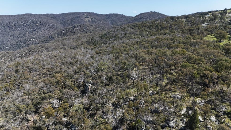 Click to view all images Green Hills New England Gully Road Moonbi NSW 2353 - Image 2