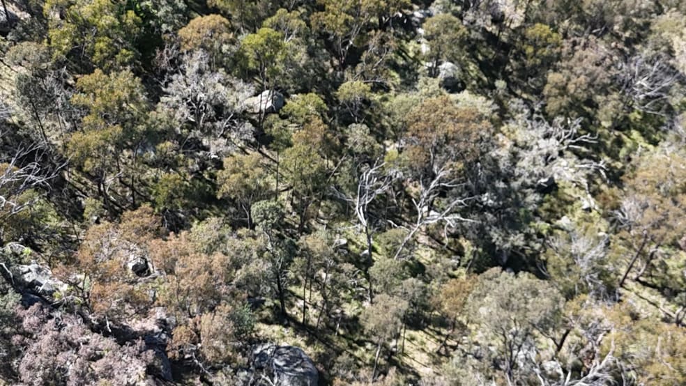 Click to view all images Green Hills New England Gully Road Moonbi NSW 2353 - Image 3