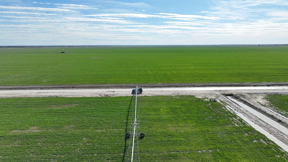 "North Devon" Dalys Road Deniliquin NSW 2710 - Image 3