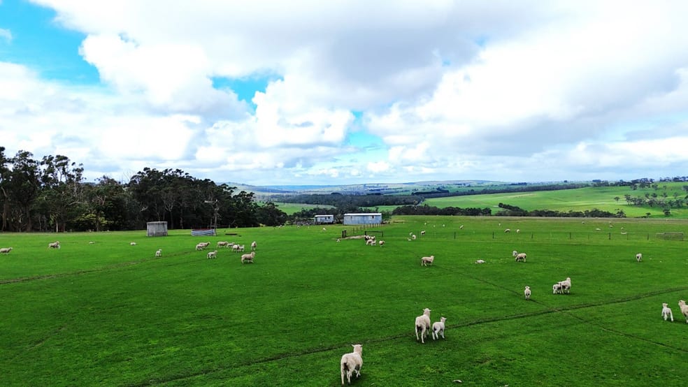 Doreys Road Scotts Creek VIC 3267 - Image 2