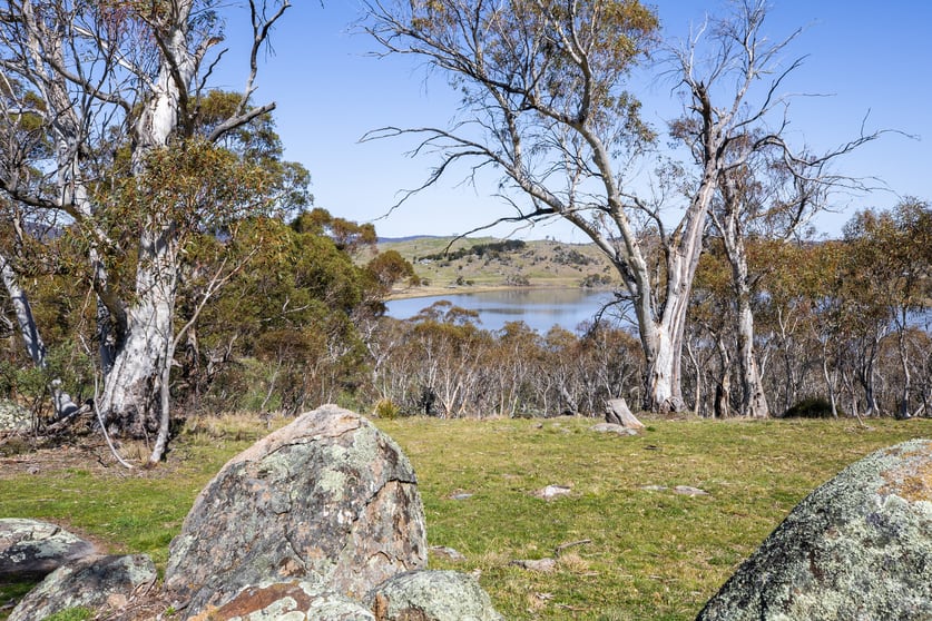 Click to view all images 422 Gullies Road Moonbah NSW 2627 - Image 1