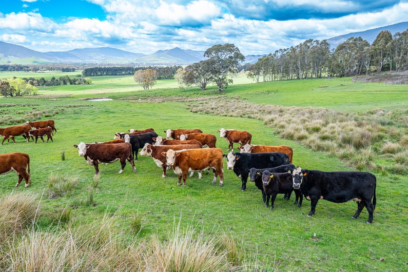 Click to view all images 2/ Hibbersons Road Tallangatta South VIC 3701 - Image 2