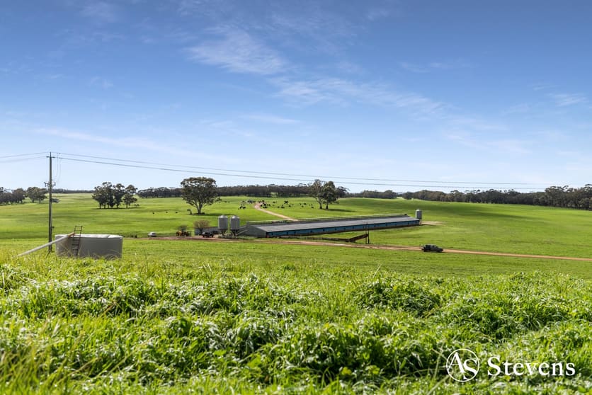 499 Old Wedderburn Road Slaty Creek VIC 3477 - Image 2