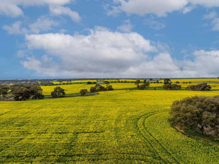 400 Daly Road Skipton VIC 3361 - Image 2