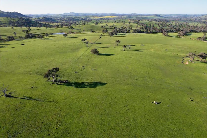 Click to view all images 0 Illalong Road Bookham NSW 2582 - Image 2