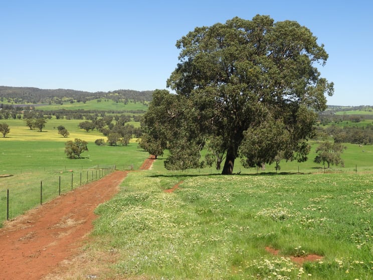 The Breakaway, Great Northern Highway Bindoon WA 6502 - Image 2