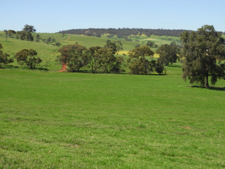 The Breakaway, Great Northern Highway Bindoon WA 6502 - Image 3