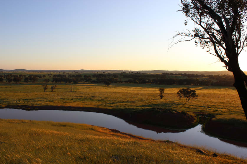 Click to view all images Young NSW 2594 - Image 1