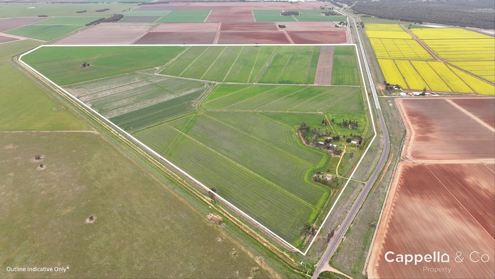 Click to view all images 1390 Whitton Darlington Point Road Whitton NSW 2705 - Image 3