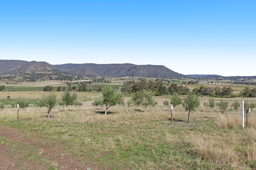 Lot 475 Swanfels Road Swanfels QLD 4371 - Image 3