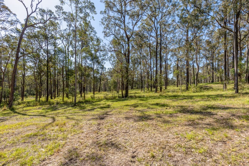 35 Grandview Close Clarence Town NSW 2321 - Image 1