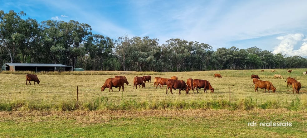 345 Copeton Dam Road Inverell NSW 2360 - Image 3