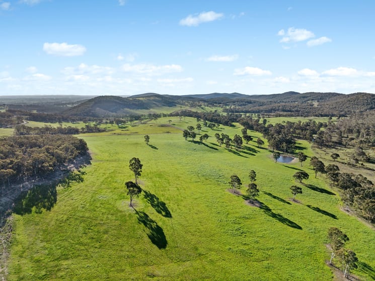 318 Belgravia Road Orange NSW 2800 - Image 2
