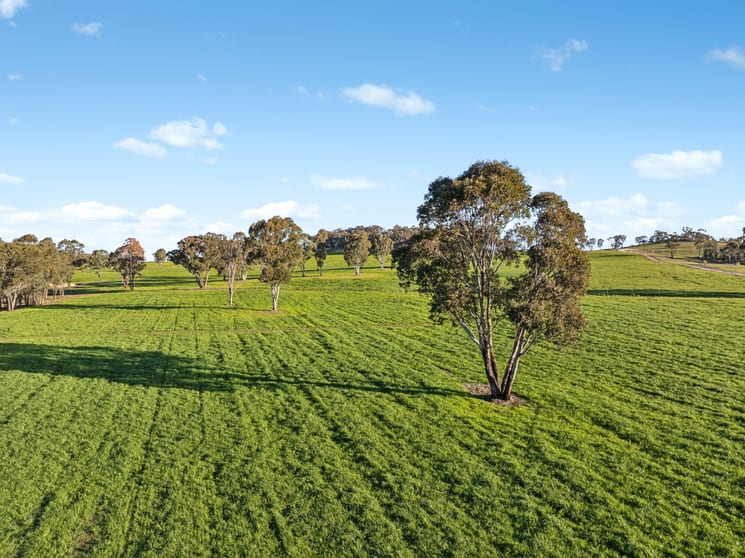 318 Belgravia Road Orange NSW 2800 - Image 1