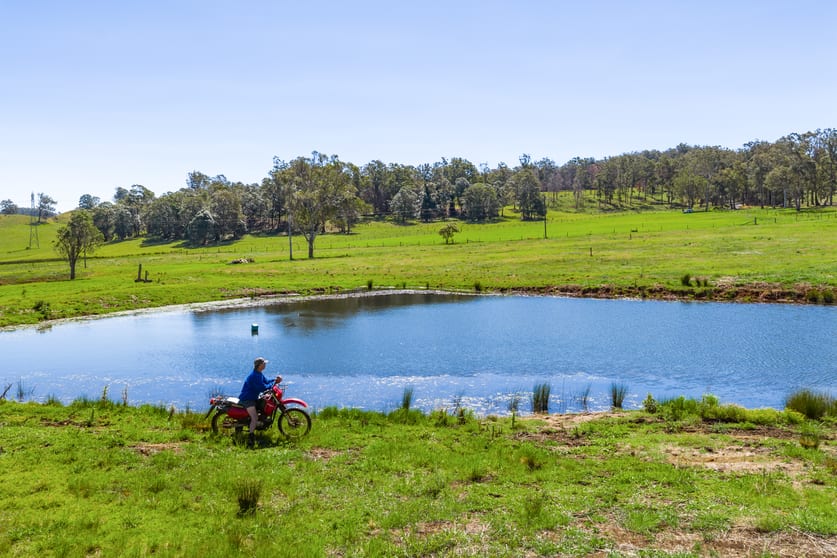 Lot 1/203 Collingwood Road Hampton QLD 4352 - Image 2