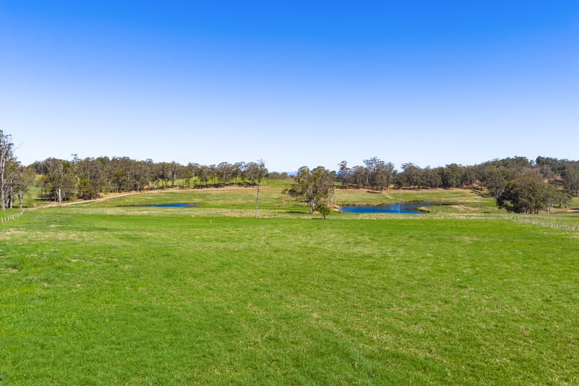 Lot 1/203 Collingwood Road Hampton QLD 4352 - Image 3