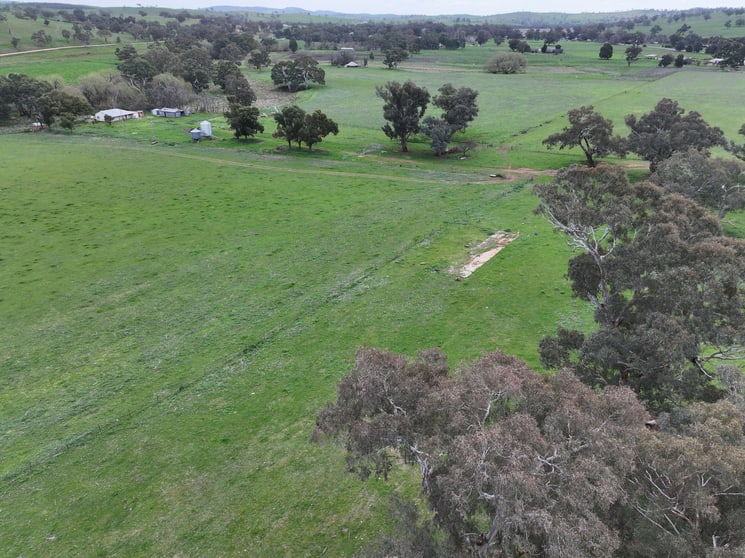 1471 & 1557 Muttama Road Muttama NSW 2722 - Image 1