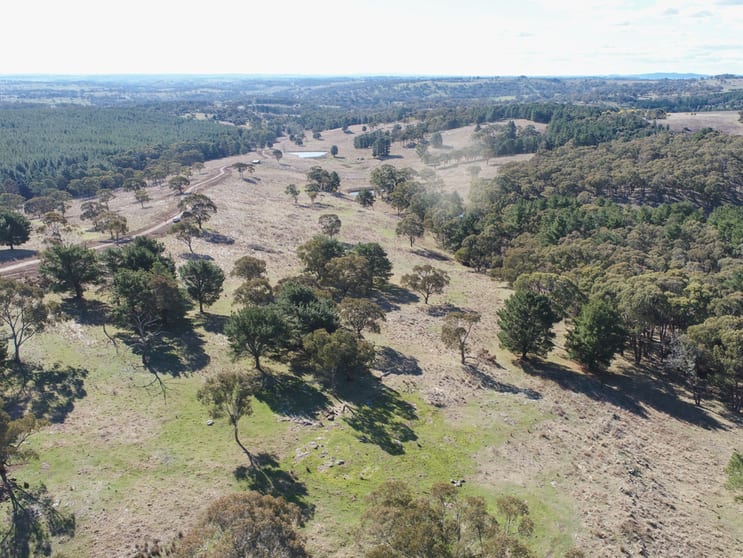 1173 Cargo Road Lidster NSW 2800 - Image 1