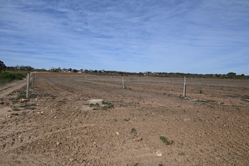 Lot 2 Cadell Valley Road Cadell SA 5321 - Image 3