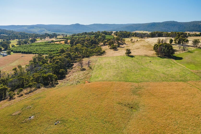 1 Willigobung Road Tumbarumba NSW 2653 - Image 3