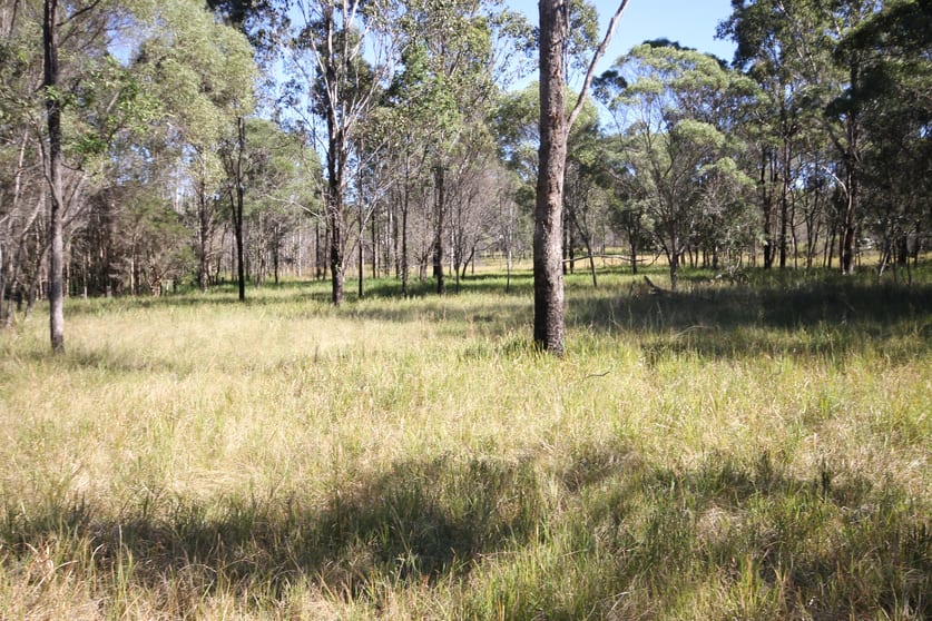 Lot 1 Shannondale Road Shannondale NSW 2460 - Image 1
