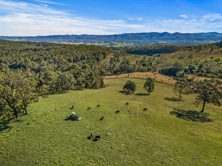 345 Glen Road Craven NSW 2422 - Image 1