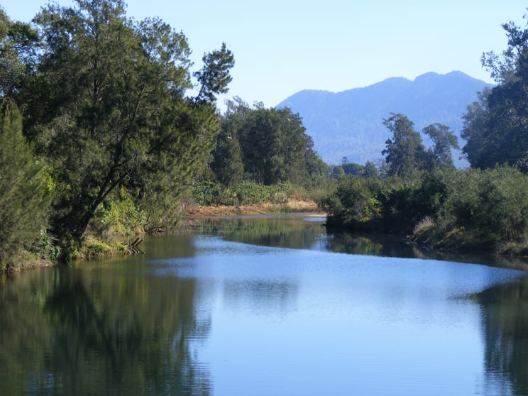 Click to view all images 1041 South Arm Rd Bellingen NSW 2454 - Image 1