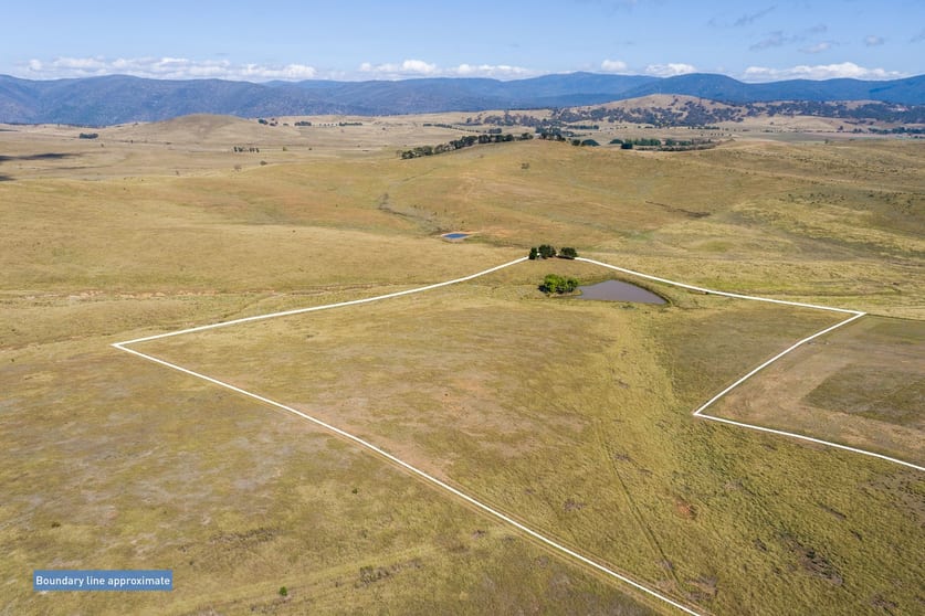 556 Micalago Road Michelago NSW 2620 - Image 1
