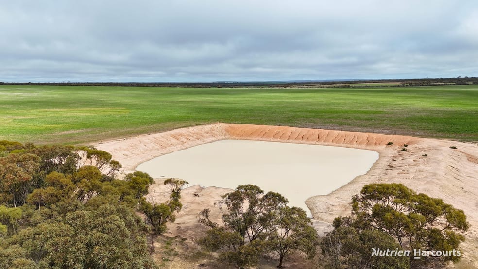 1650 Dulyalbin Road South Bodallin WA 6424 - Image 2