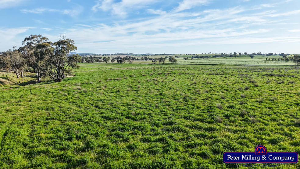 Click to view all images 'Glenelg' 146 Suntop Road Wellington NSW 2820 - Image 1