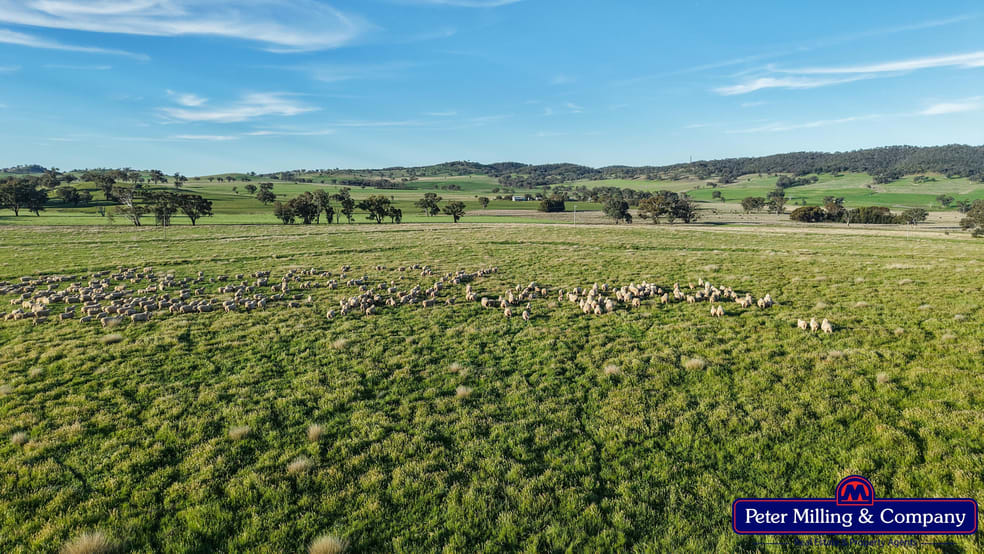 Click to view all images 'Glenelg' 146 Suntop Road Wellington NSW 2820 - Image 3