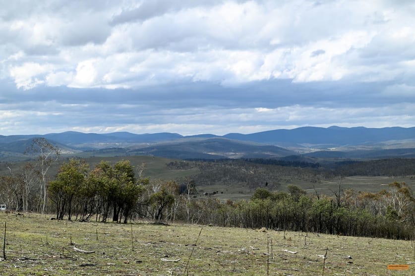 "Eagle Heights" 636 Caddigat Road Dry Plain NSW 2630 - Image 3