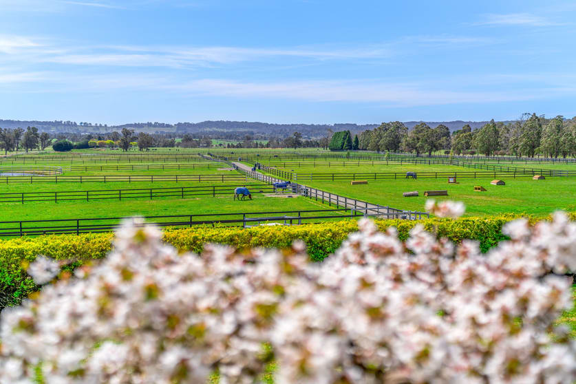 Click to view all images 366 Headlam Road Moss Vale NSW 2577 - Image 2