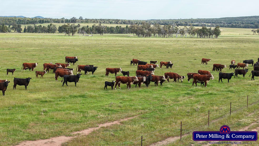 "Katella" 7878 Newell Highway Tomingley NSW 2869 - Image 1