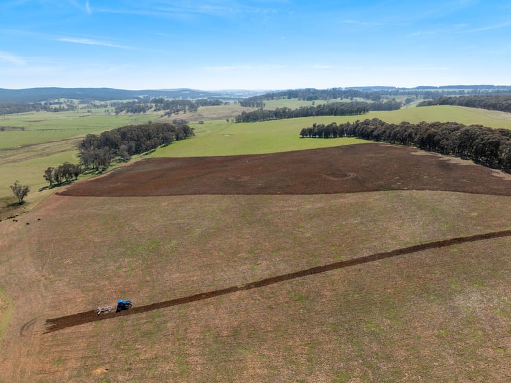 Click to view all images 224 Cranfield Road Chatham Valley NSW 2787 - Image 3