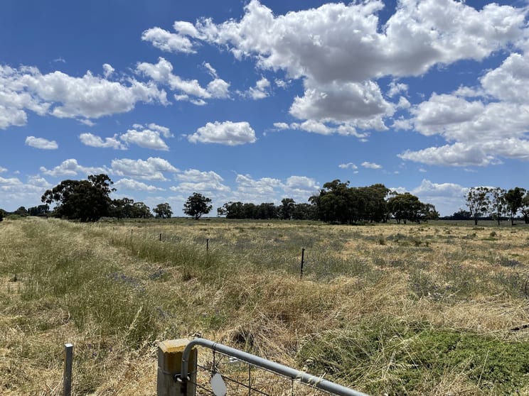 'Yileen' 4371 Moulamein Road Tullakool NSW 2732 - Image 2