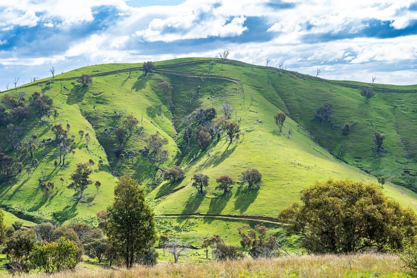Click to view all images . Packers Road Bethanga VIC 3691 - Image 3