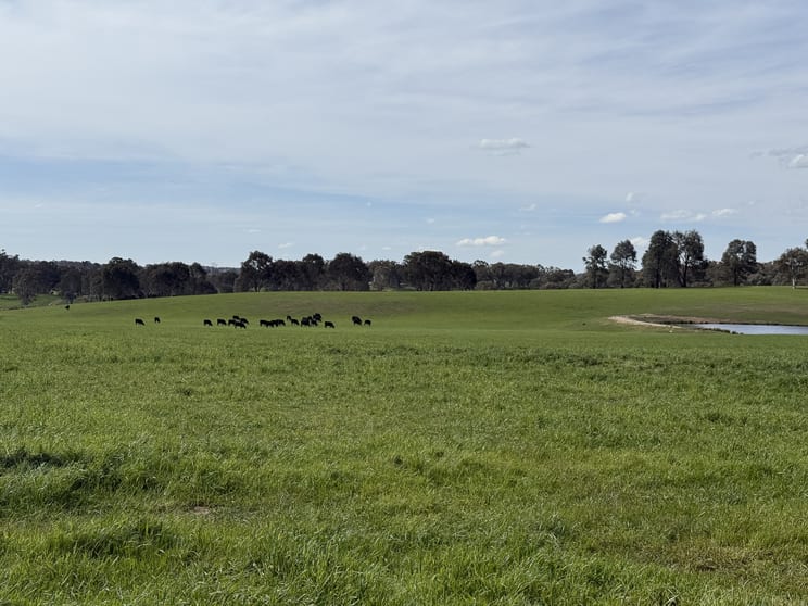 569 & 640 Blakney Creek North Road Blakney Creek NSW 2581 - Image 2