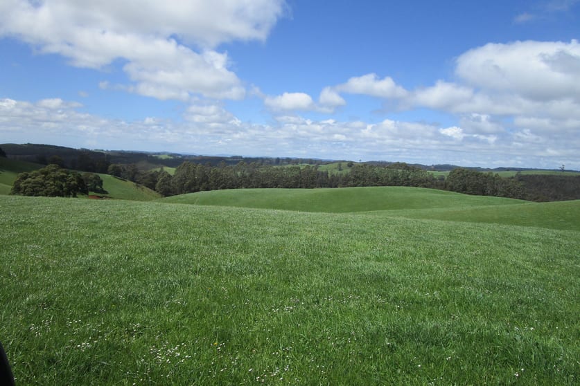 Click to view all images 65 Preston-Castra Road Preston TAS 7315 - Image 2