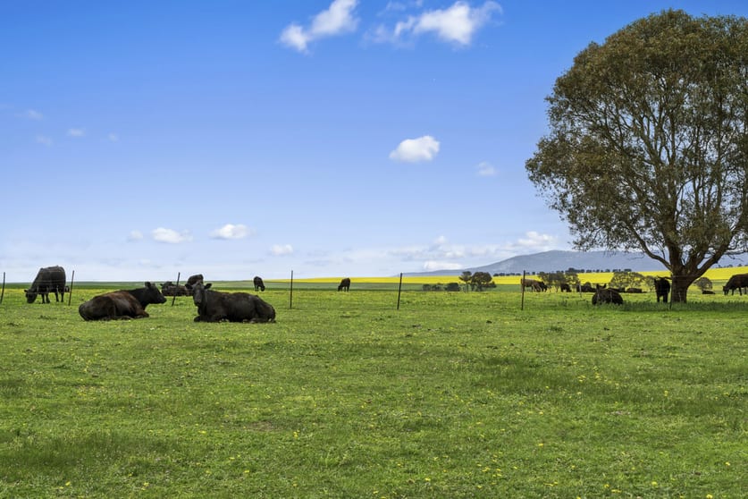 Click to view all images 3077 Geelong Road Cross Roads VIC 3373 - Image 2