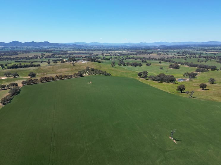 798 Bethel Road Glenellen NSW 2642 - Image 3